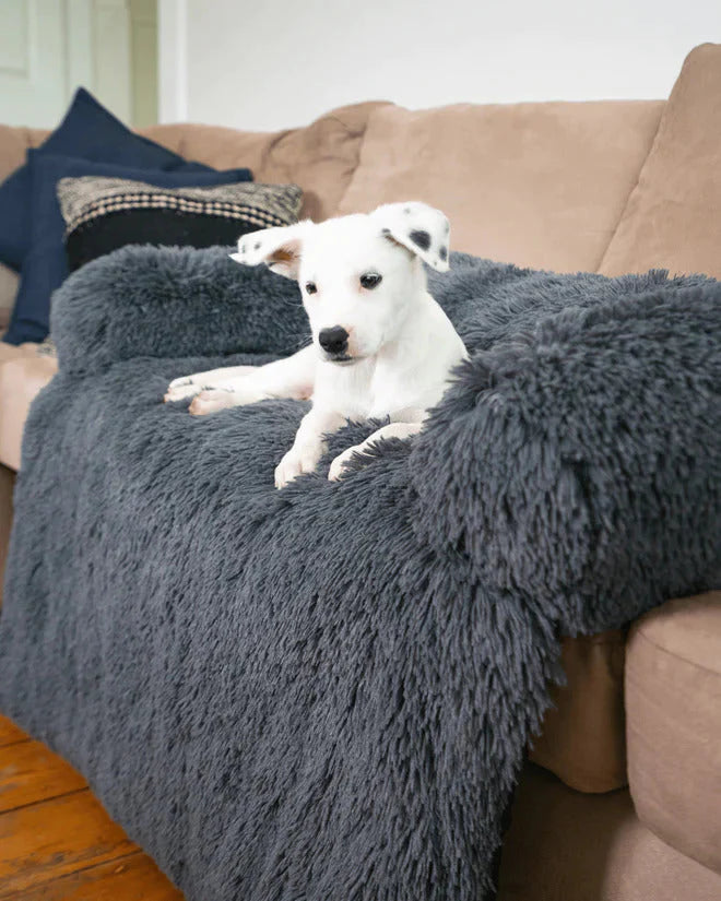 PAWSHION™ │ HUNDE-SOFASITZ